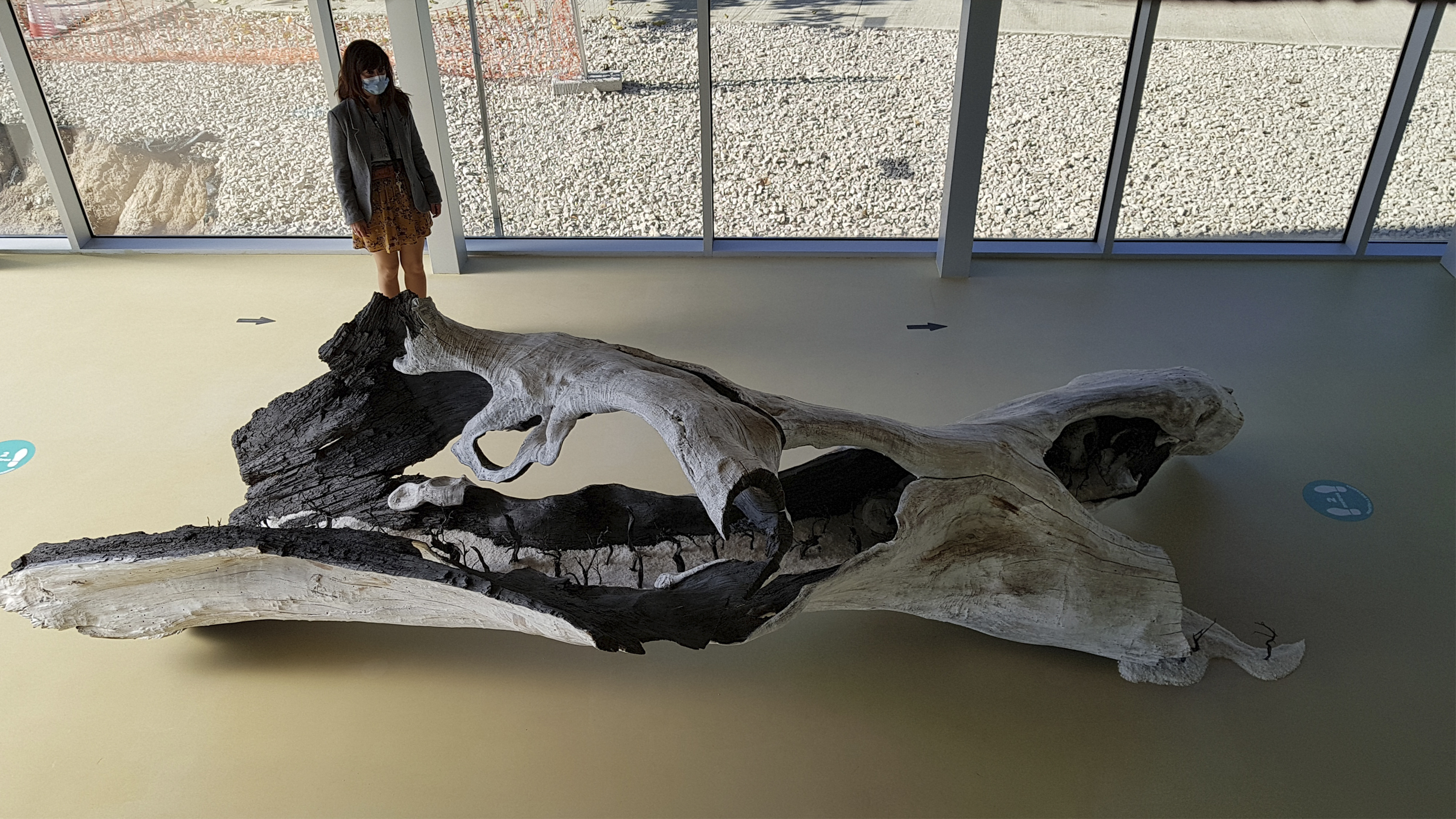 Nacho Arantegui. «Expansión». Del 26 de octubre al 4 diciembre de 2020. Hall del Edificio Estudiantes.