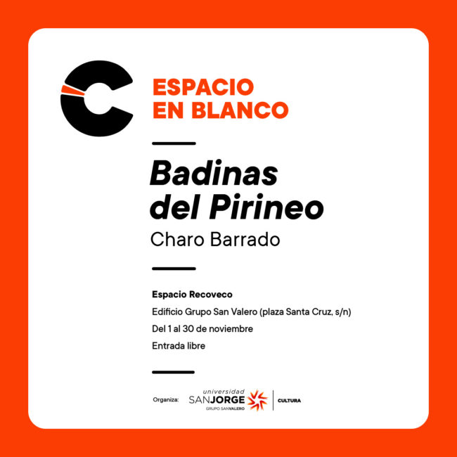 2022 11 30 RRSS recoveco 8